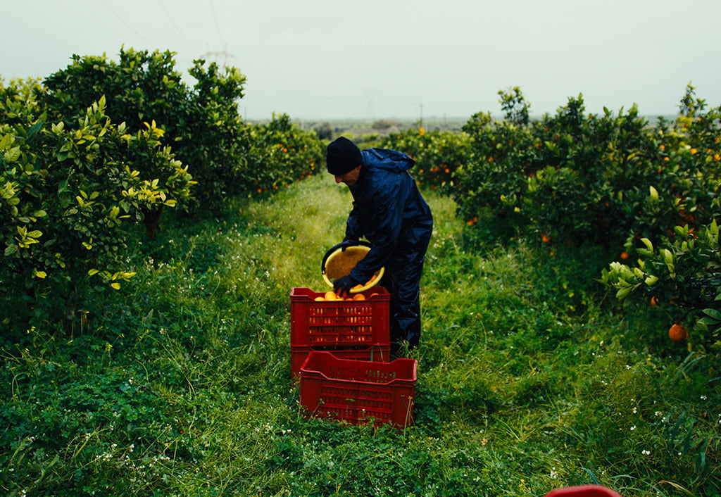 ОСВЕЖАЮЩЕ ПРОДУКТИВНО