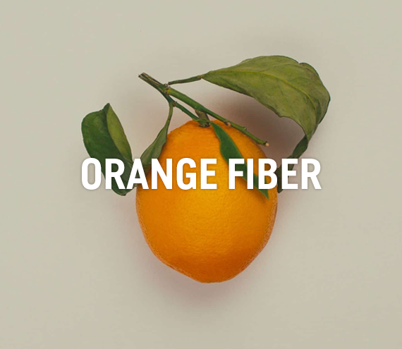 SUSTAINABLE - УСТОЙЧИВЫЙ